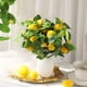 thumbnail image 1 of CaiYueKe Artificial Lemons Branches, Fake Lemon Branches with Lemons for Vase, Realistic Fake Lemon Decoration for Farmhouse Style Party Table Centerpiece and Home Decor, 1 of 6