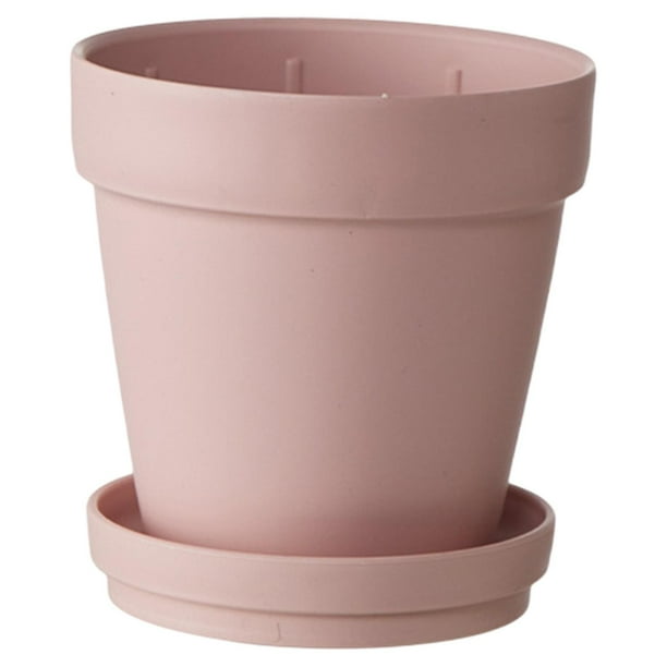 Maceta con platillo para cactus, maceta de interior resistente para plantas suculentas Rosa