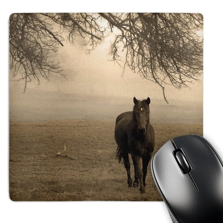3dRose  The Old Oak and The Steed  MousePad price history on PriceWatchPro