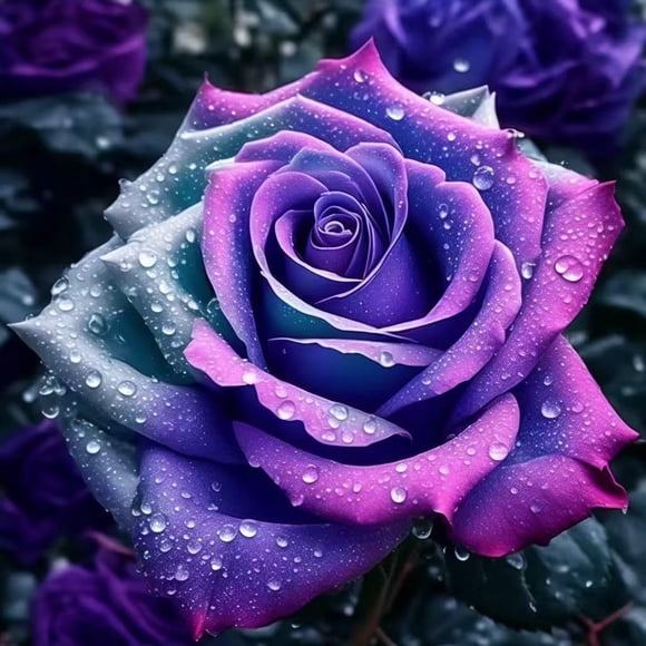 GSDWIUEW Chlorisium Mix Climbing Rose Seeds for Planting Outdoors Ornamental Climbing Flowers Perennial Heirloom Flower Seeds Fragrant Vine Rose Flower Long-Blooming for Home Garden