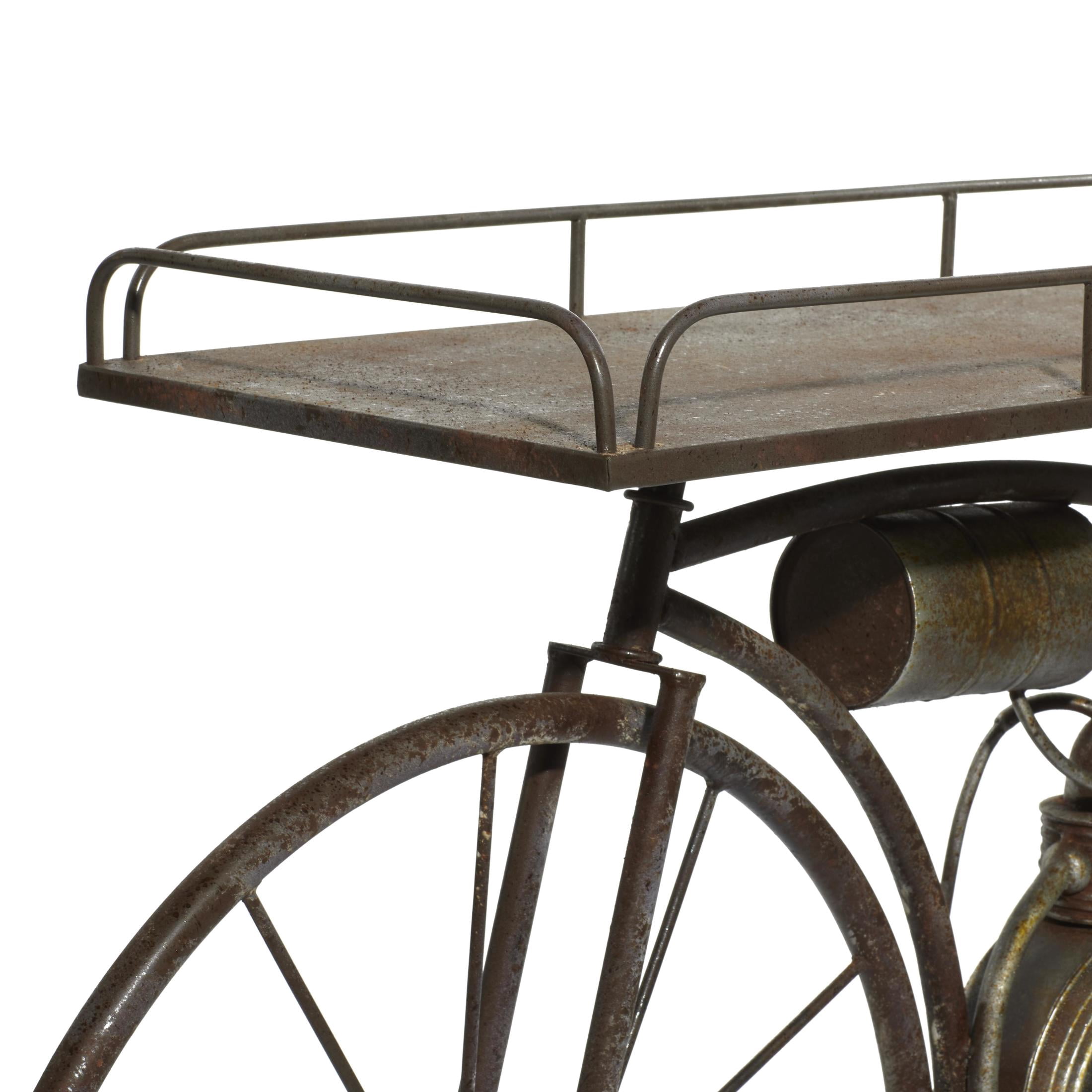 DecMode 65" x 14" x 35" Bronze Metal Weathered Vintage Bike Plantstand