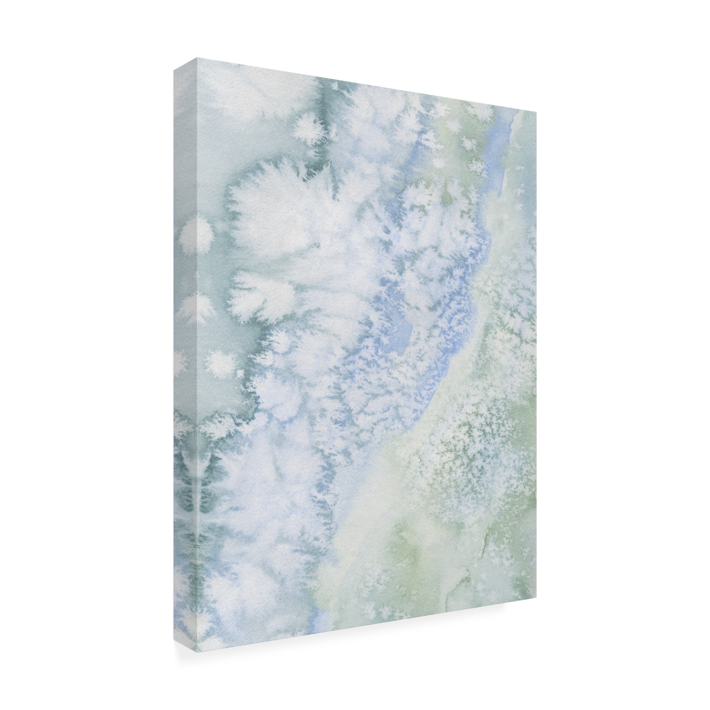 Emma Caroline 'Sea Salt Reverie IV' Canvas Art
