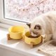 thumbnail image 5 of Comedero cerámico elevado doble para gatos para comida y agua, cuencos elevados inclinados para proteger y prevenir la fatiga de los bigotes, plato alto antideslizante para gatos y perros pequeños, 5 of 7