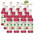 thumbnail image 1 of Monin Sirop de Grenadine de Qualité Supérieure, Mélangeur de Cocktail Authentique aux Petits Fruits Rouges et à la Vanille, Bouteilles en Verre de 750 ml (25,4 oz), Caisse Professionnelle en Vrac de 12, 1 of 5
