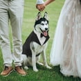 thumbnail image 6 of HQREA Large Medium Dog Tuxedo Suit Formal Pet Wedding Party Suit Puppy Prince Shirt with Bow Tie, 6 of 7
