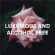 thumbnail image 5 of Bruma corporal Camille Beckman, glicerina, agua de rosas, 240 ml, 5 of 5