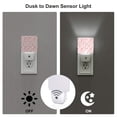 thumbnail image 3 of Cauagu Cute Rabbit Carrot Print LED Nightlight,0.5W Night Lights Plug into Wall 1 Pack with Dusk-to-Dawn Light Sensor Soft Glow Lamp for Bathroom Adult Hallway-, 3 of 7