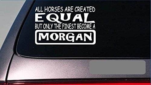 Morgan equal Sticker *G690* 8" vinyl horse saddle boots show rodeo cowgirl h 
