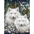 thumbnail image 1 of Cuadros Decorativos Diamante pintura lobo completo redondo taladro imagen de diamantes de imitación DIY dibujo Kit Ehuebsd Nuevos Originales, 1 of 8