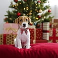 thumbnail image 4 of Collar de perro de Navidad con lazo, collares de Navidad para perro con pajarita, regalo de Navidad para cachorro gatito, 4 of 5