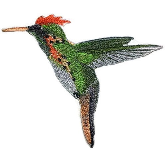 Tufted Coquette Hummingbird Embroidered Iron on/Sew patch [5.49" X 4.34"]