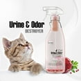 thumbnail image 2 of ION Fusion Cat Urine & Odor Destroyer - 2 Bottles in 1. 32oz, 2 of 7