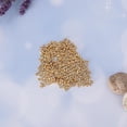 thumbnail image 2 of 300 Micro Doll Figure Clothes Sew Buttons 4mm 5mm 2-Holes Buttons Golden, 2 of 8