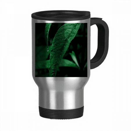 

Nature Photography Travel Mug Flip Lid Stainless Steel Cup Car Tumbler Thermos