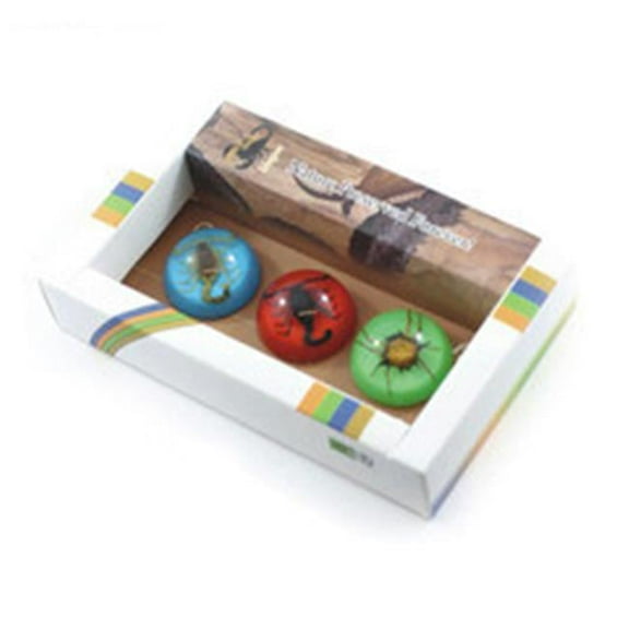 Ed Speldy East MT3001 3PC Magnet Set with Real Scorpion and Spider in Acrylic