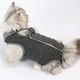 thumbnail image 3 of Ropa de destete para gatas, ropa antilamer, ropa cómoda y ajustada para mascotas MFZFUKR l, 3 of 5