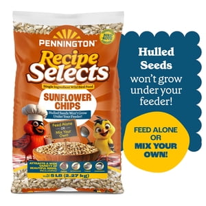 Pennington Sunflower Chips No-Shell Bird Food, 5 Lb