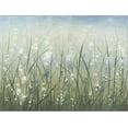 thumbnail image 2 of Bliss I, Botanical Stretched Canvas Wall Art by Tim O'toole Sold by Art.Com, 2 of 5
