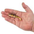 thumbnail image 5 of PowerBait® Agent E, 5 of 6