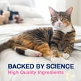 thumbnail image 4 of Nutramax Proviable Capsules DC pour Chats et Chiens, 80 Unités, 4 of 6
