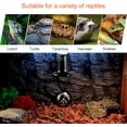 thumbnail image 4 of Calentador de mascotas con bombilla cerámica infrarroja de 150 W, lámpara para reptiles, anfibios, serpientes, aves, tortugas, gatos y perros., 4 of 5