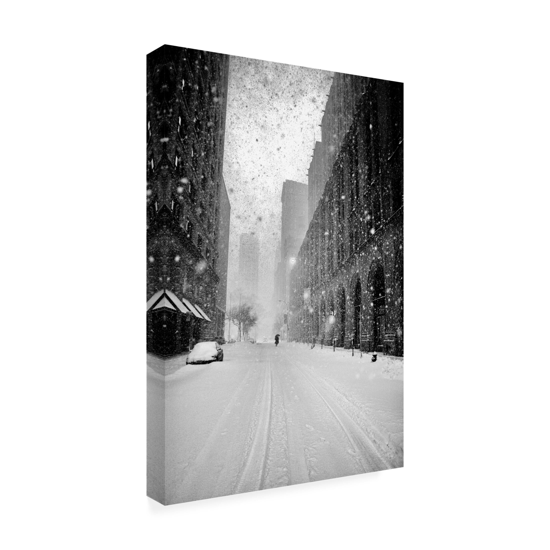 Canvas Wall Art - Martin Froyda 'New York Walker In Blizzard' Wall Art for Living Room, Bedroom, or Office D?cor by Trademark Fine Art - 22 x 32 Inches