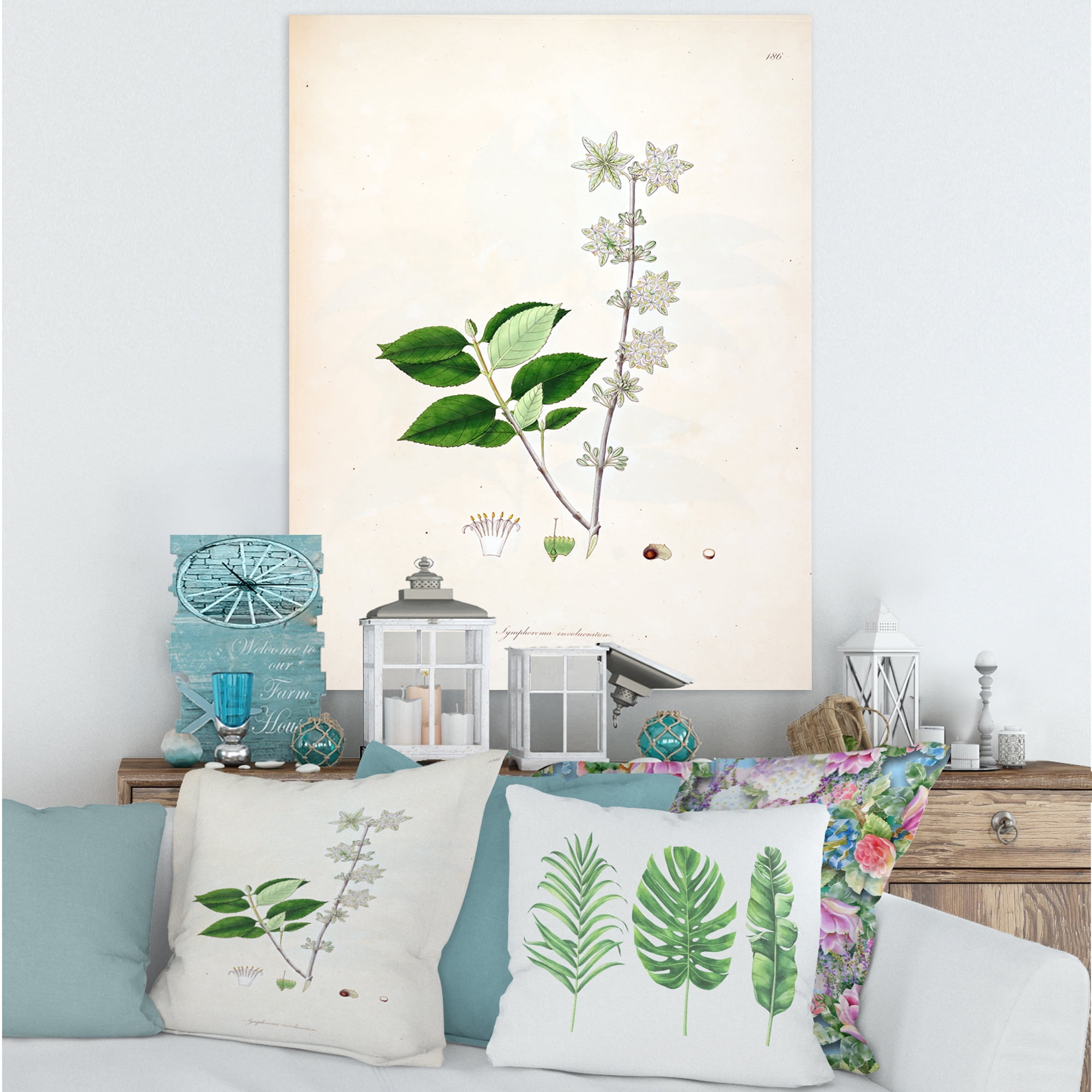 Designart ' Ancient Botanicals XV ' Farmhouse Canvas Wall Art Print