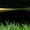 Black, variant on [Sneakers] 2026 New Model Professional Men And Women Football Shoes Shatter Nail Grass Teenagers. Raining Shoes. Elastic Surface Very Suitable for Competitive Competitions And Daily Training