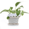 thumbnail image 4 of CNKOO 100 Pcs Étiquettes de Jardin en T Épaisses (Blanc), 4 of 6
