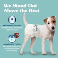thumbnail image 2 of Pañales para perros Simple Solution para mujer, superabsorbentes, tamaño S, 12 — 19 cm, 2 of 6