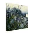 thumbnail image 4 of Trademark Fine Art "In Silence" Canvas Art by Beata Czyzowska Young, 4 of 4