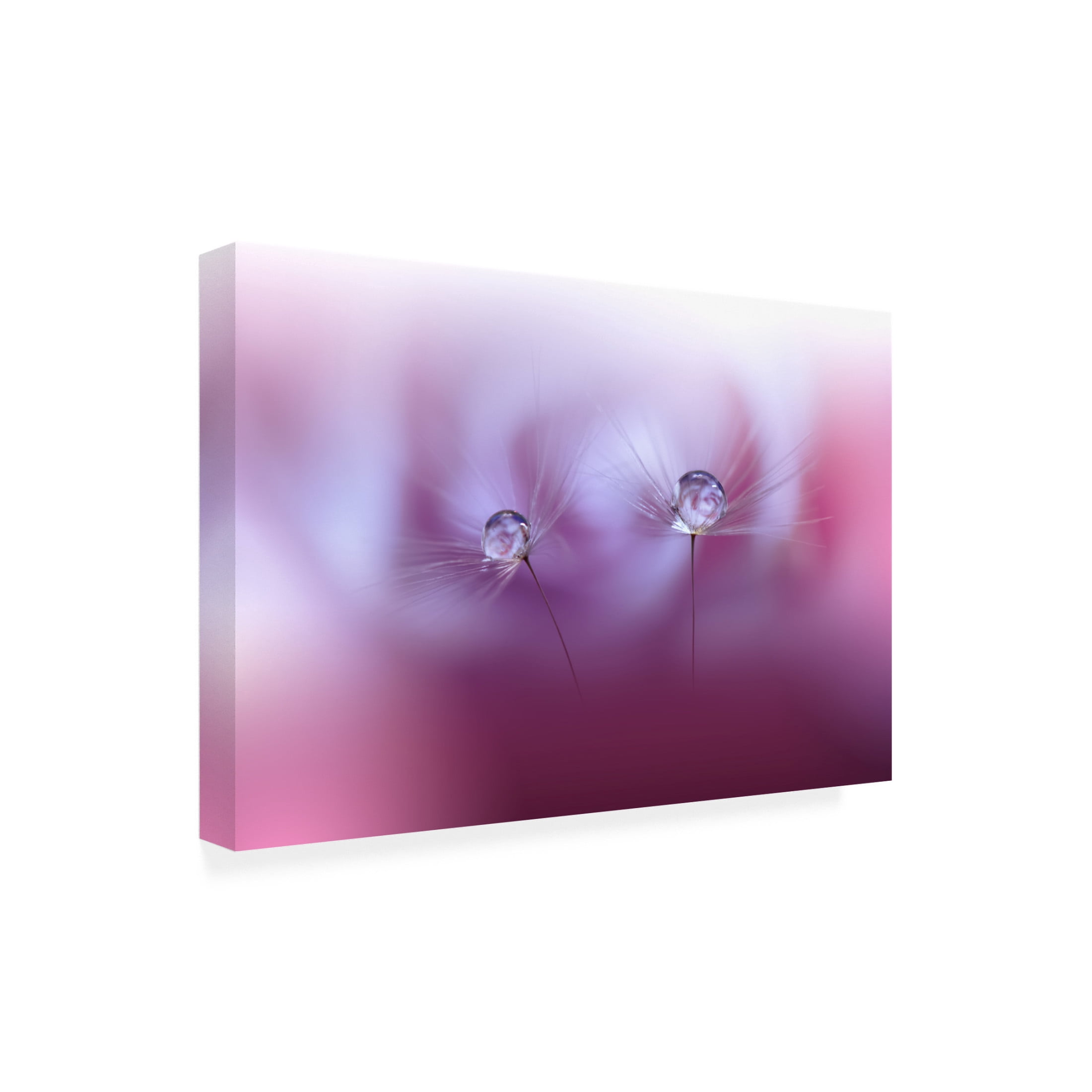 Trademark Fine Art Juliana Nan Two Worldsii Canvas Wall Art