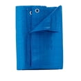 thumbnail image 1 of Tarp Home Plus Azul 110x170 cm Polietileno, 1 of 1