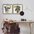 thumbnail image 3 of Potted Plant Leaves Geometric Shapes Botanical & Floral Graphic Art Black Framed Art Print Wall Art, Set of 2, 3 of 8