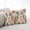Light Beige Orange, variant on Fall Leaves Lumar Pillow Covers, Farmhouse Beige Botanical Branch Soft Breathable Throw Pillow Cases with Invisible Zipper, Decorative Pillowcase Pillows Protectors for Sofa Bed Chair 16"x24"