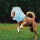 thumbnail image 3 of Breathable Dog Ear Cover Mesh Cap for Ear Protection Puppy Sleeve Wrap, 3 of 4