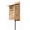 Stovall 2HW Basic Rustic Western Mountain Bluebird House