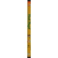 thumbnail image 3 of Meet Diego (DVD), Nickelodeon, Kids & Family, 3 of 4