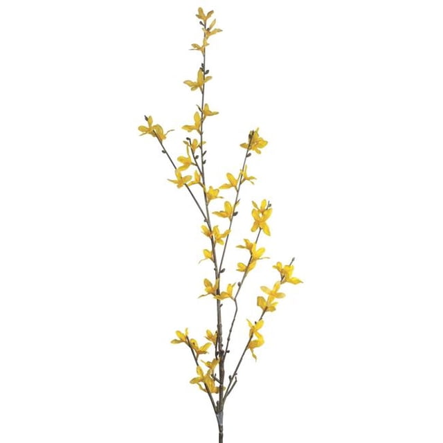 Floraison Jaune Forsythia Branche Faux Plantes et Arbres