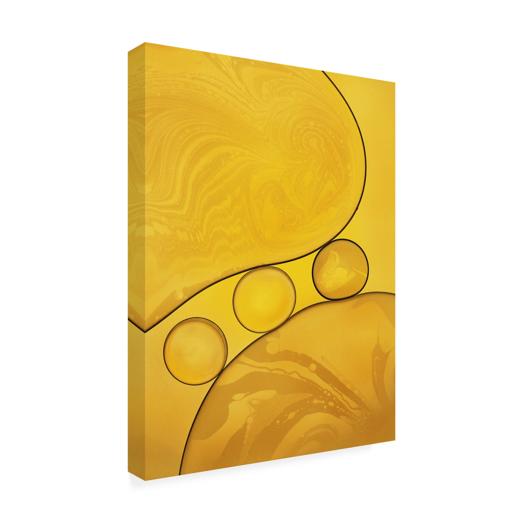 Trademark Fine Art Hazem Swidan Untitled Canvas Wall Art
