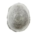 thumbnail image 5 of Mens Wigs Human Hair, Hair Systems for Men, Real Hair Units Poly Skin Hairpieces Scalloped Front #1B50, 5 of 17