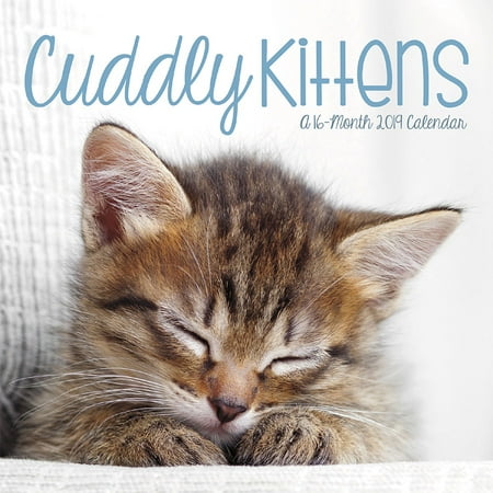 - 2019 Cuddly Kittens Mini Calendar