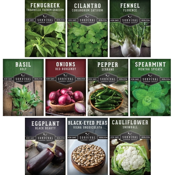 8 pack Indian Vegetable - Eggplant Okra Green Bean Cilantro Cucumber Carrot Mint - Full Sun Annual