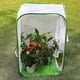 thumbnail image 3 of Big Large Foldable Butterfly Habitat Cage Terrarium, Insect And Butterfly Net For Breeding Inserts, 3 of 3