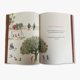 thumbnail image 3 of Libro El Arbol De Los Secretos Tapa Dura, Autor Vanessa Miklos, Editorial Ediciones El Naranjo, 3 of 4