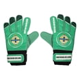 thumbnail image 1 of Northern Ireland Boys Crest Goalkeeper Gloves, 1 of 6