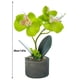 thumbnail image 2 of Orquídea artificial Flor y maceta Simulación Flor en maceta Mesa de oficina en casa Decoración floral falsa, JH1735, Verde Methold HA7712-03B, 2 of 6