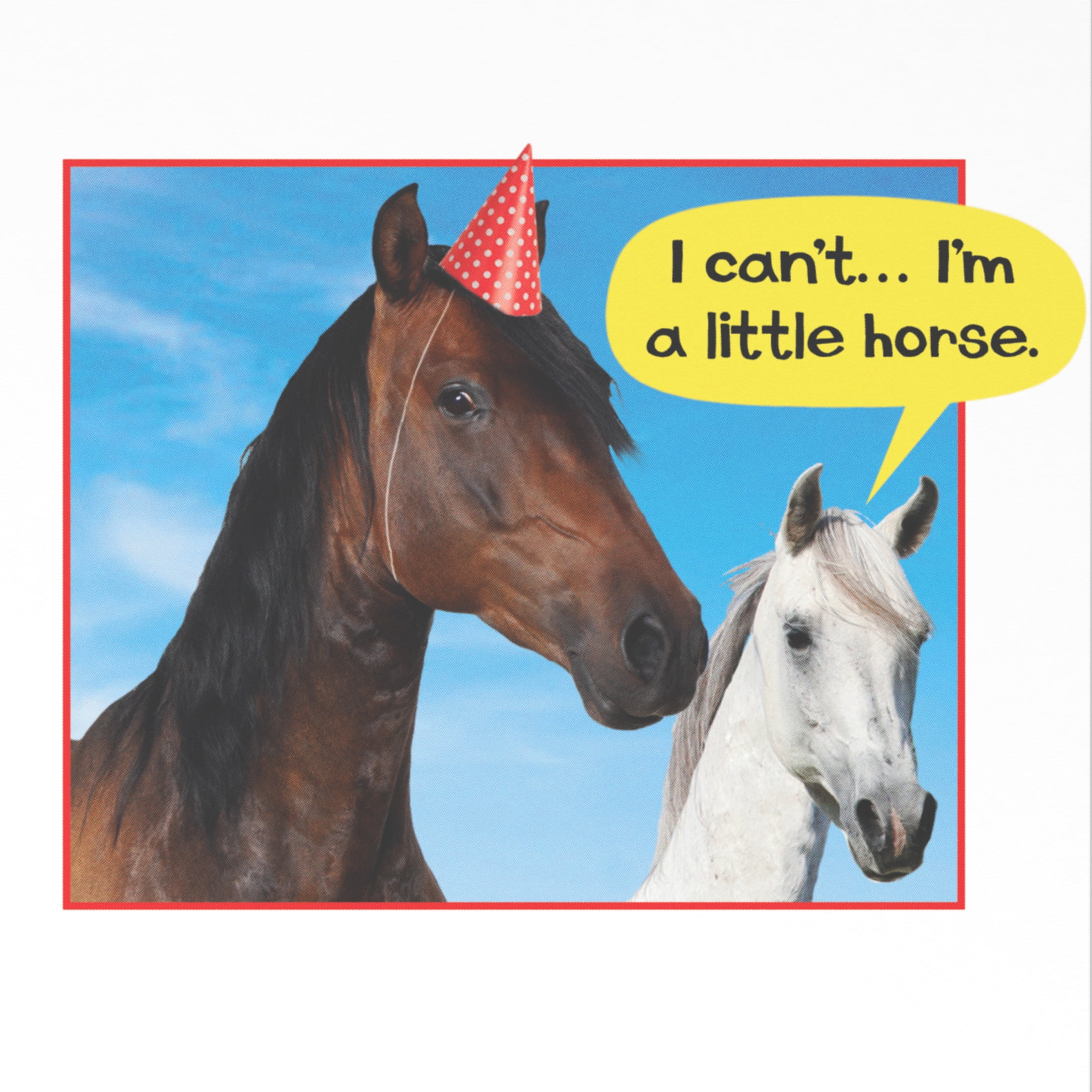American Greetings Funny Birthday Card for Anyone (Singing Horses)