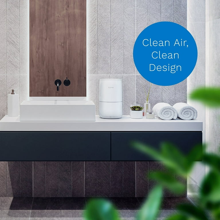 Homelabs purely awesome air cheap purifier with true hepa filter
