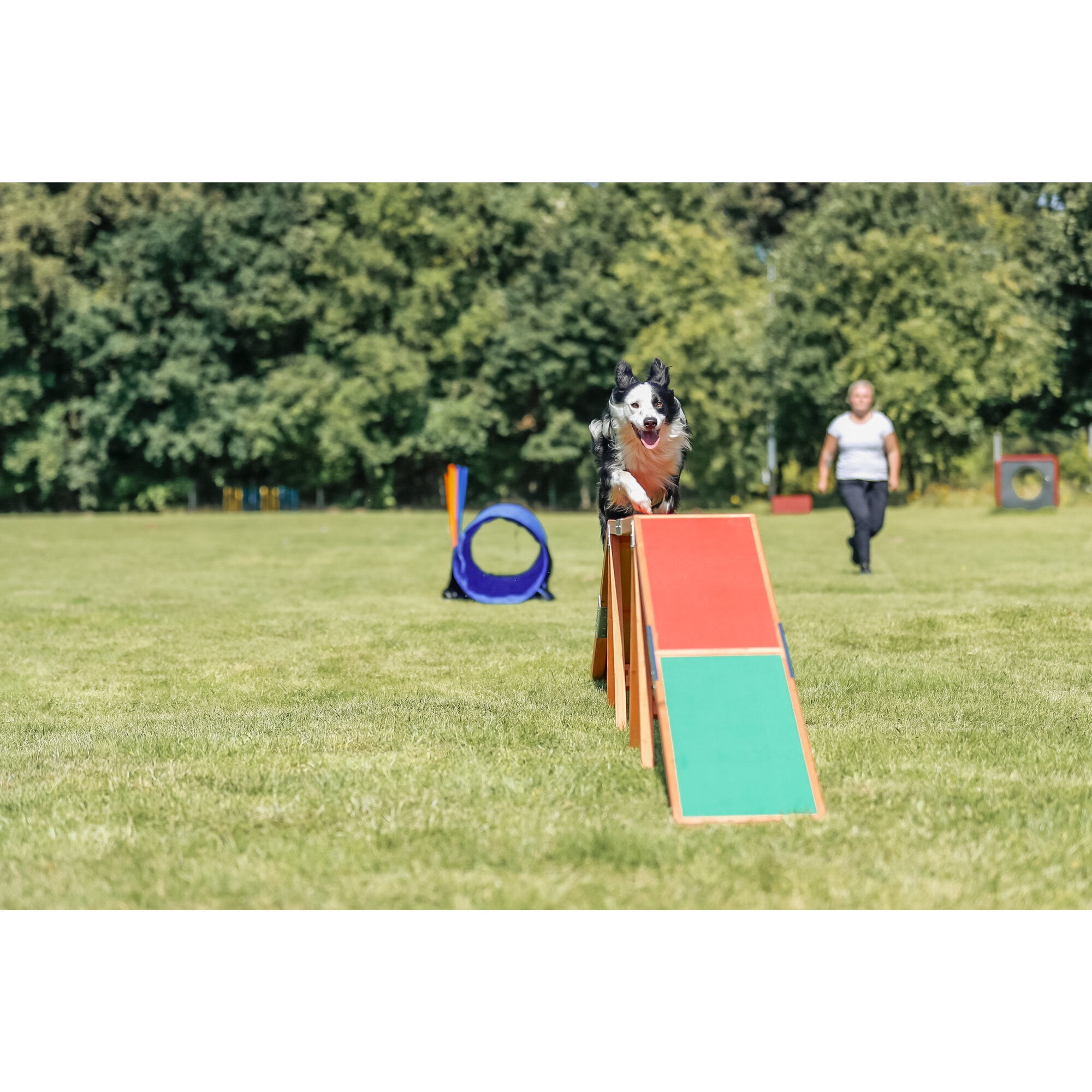 TRIXIE Dog Agility Dogwalk, Canine Agility Training, Obedience Training